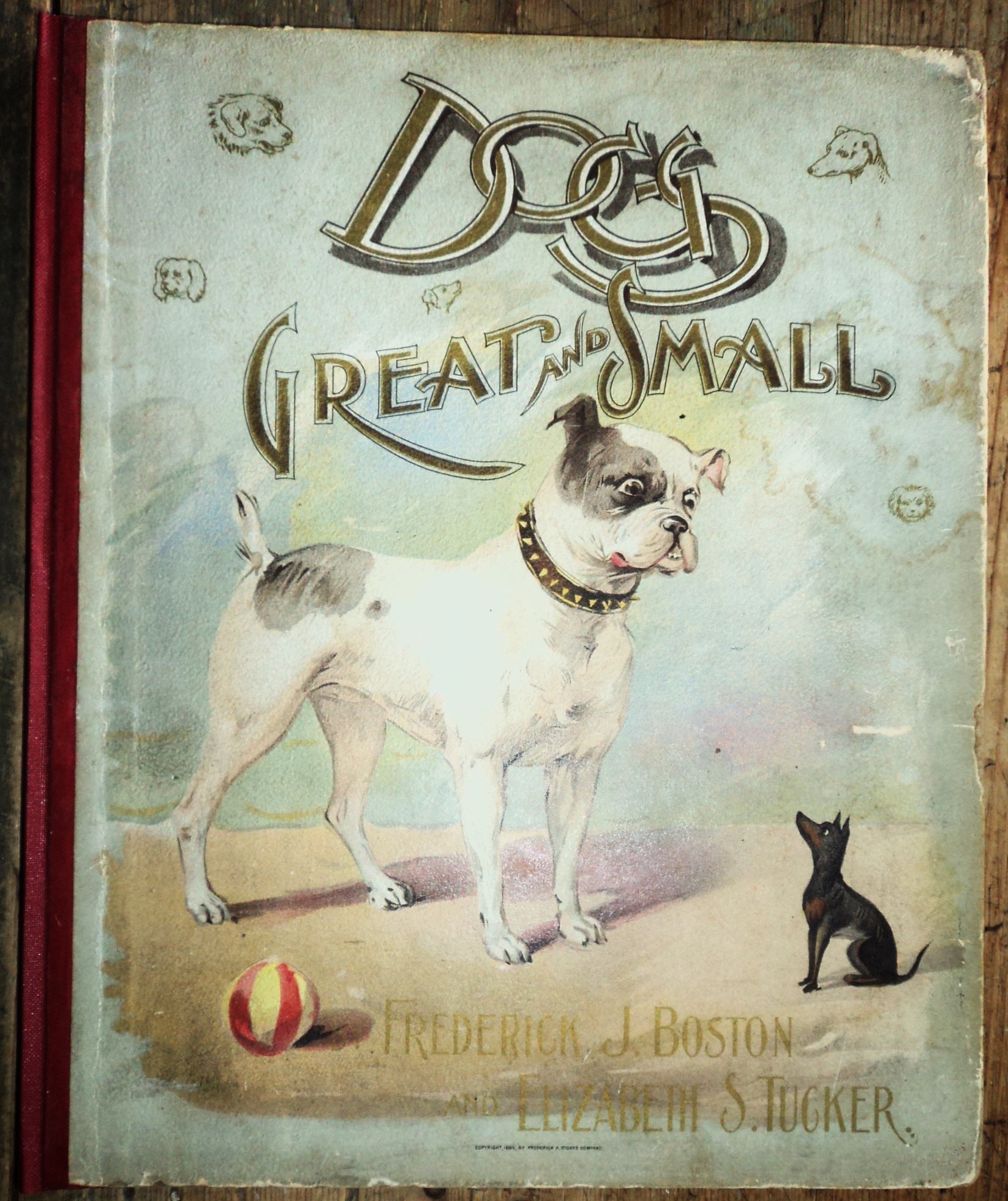 Dogs Great and Small